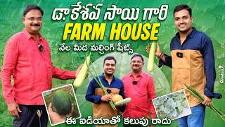 డా. కేశవ సాయి గారి Farm House నేల మీద మల్చింగ్ షీట్స్, ఈ ఐడియాతో కలుపు రాదు