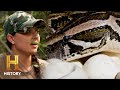 Snake Discovery and Safety Concerns