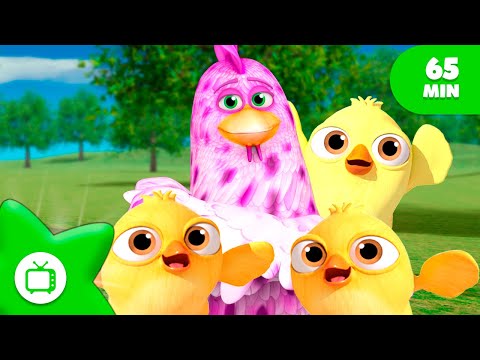 La Gallina Cocorita de Aventura  | Vamos a descubir la Granja de Zenón 🌈 + Canciones Infantiles