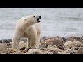 Climate Change and Its Impacts