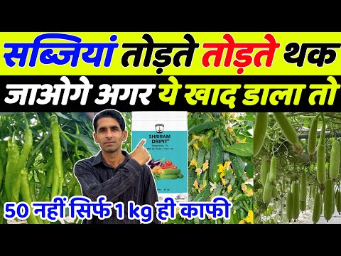 खेती में सबसे ताकतवर खाद | Sabji ki kheti | Mirch ki kheti | Tamatar ki kheti | kheera ki kheti