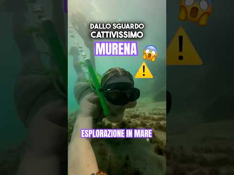 FACCIA A FACCIA CON UNA MURENA- ESPLORAZIONE IN MARE 😱🐟
