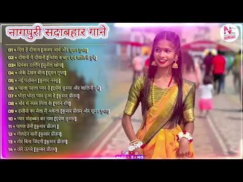 New Nagpuri Nonstop Song 2024 | Hasino Ka Mela | Singer Kumar Pritam | Suman Gupta | Ignesh Kumar