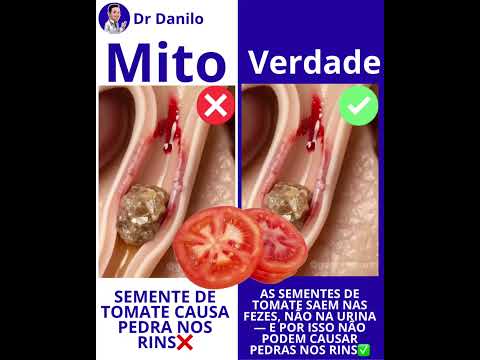 Semente de tomate causa PEDRA nos RINS❌