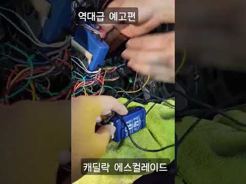역대급 예고편. 선정리를 며칠을...해야될까(본편은 고정댓글)
