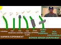 Plant Growth and Response Mechanisms