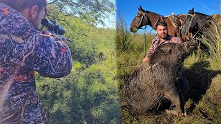 CACERIA DE CHANCHOS CON RIFLE DE AIRE 🐗🐖, y aventura por Corrientes 🐷