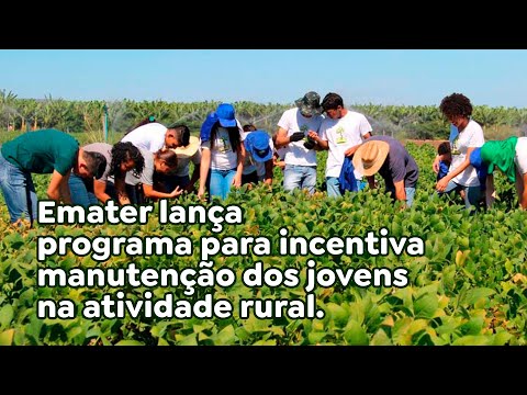 Emater lança programa para incentivar manutenção dos jovens na atividade rural.