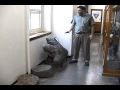 Fossils and Ancient Ecosystems