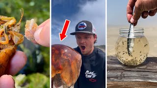 SATISFYING Sea Animal Rescue Compilation! *NEW* 