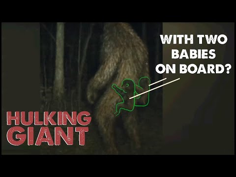 Delaware Sasquatch with Two Babies (AI or real deal?)