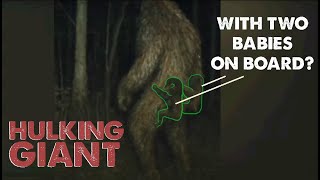 Delaware Sasquatch with Two Babies (AI or real deal?)