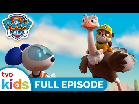 Pups Save the Baby Ostriches | PAW PATROL 🐶 | Rescue Dogs Help Adventure Bay 🏡 | Season 6 | TVOkids