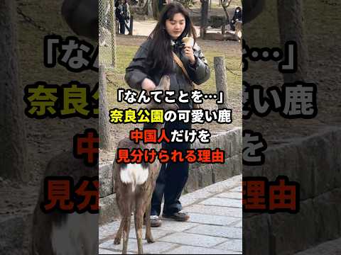 奈良公園の可愛い鹿たちがなぜか中国人だけを見分けられる理由 #海外の反応