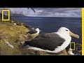 Understanding Natural History Photography