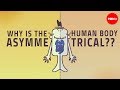 Understanding Symmetry and Asymmetry in Nature