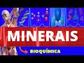 Funções e Importância dos Minerais
