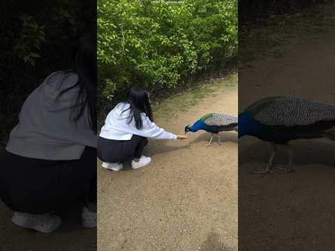 Food Changed Everything Here๐ฆ.#shortvideo