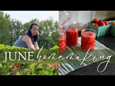Summer Homemaking + Zero Dollar Decorating