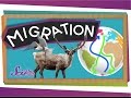 Animal Migration and Navigation