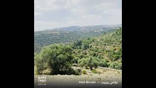 علالي بيرزيت - Alali Birzeit