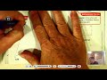 Understanding Quadrilaterals and Their Properties