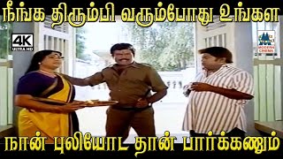 நீங்க திரும்பி வரும் போது உங்கள நான் புலியோட தான் பார்க்கணும் #Goundamani #Senthil Comedy