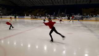 Krasobruslení exhibice