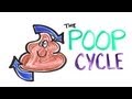 Understanding Sewage Treatment and Its Cycle