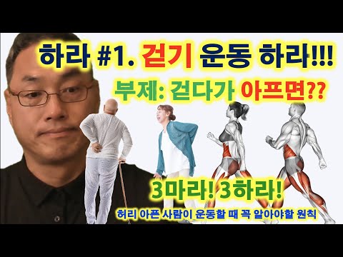 하라 #1 걷기 운동 하라!!! (부제: 걷다가 아프면??)