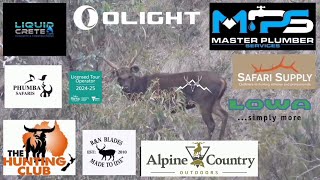Big stag at 440yds // 5 days hunting Sambar deer in Victorian High Country,  Australia. #Sambarstags