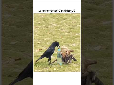 Who remember this story?
