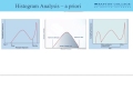 Image Processing and Histogram Analysis