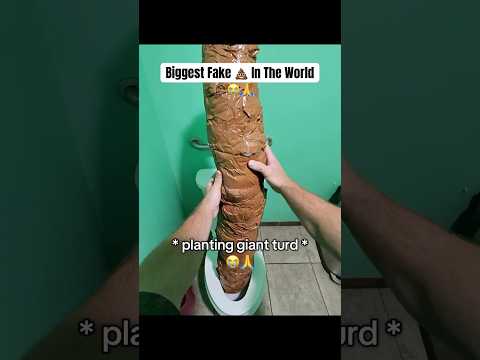 Biggest Fake 💩 In The World #prank #viral #worldrecord #shorts #ytshorts #trending #funny #troll