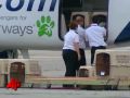 Pet Airways: Understanding Services and Operations