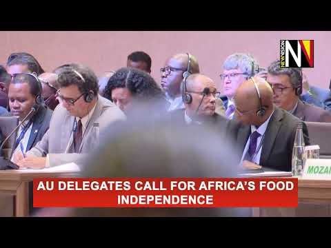 AU delegates call for Africa’s food independence