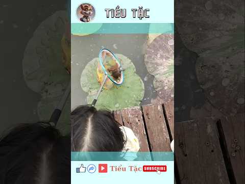 làm việc tốt🤣 #tieutac