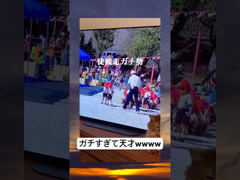 うちの弟だけ世界陸上だと思ってるwwwwww #おもしろ #元気お届け