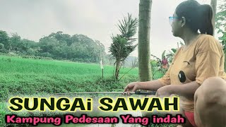 Mancing di sungai sawah kampung pedesaan yang indah di temani udara yang sejuk