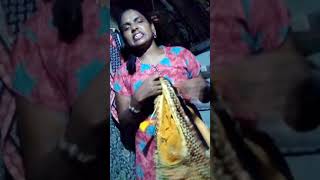 mi kaveri
