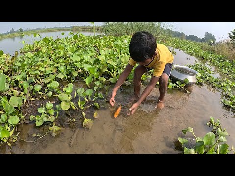 Fish video|Natural Hand Fishing Talent | Small Boy’s Big Catches!