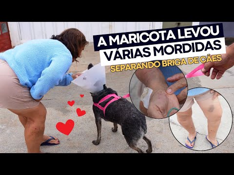 ENCONTRO DA ANA CASTELA COM A MARICOTA 😍 + retorno no veterinário + compras no petshop