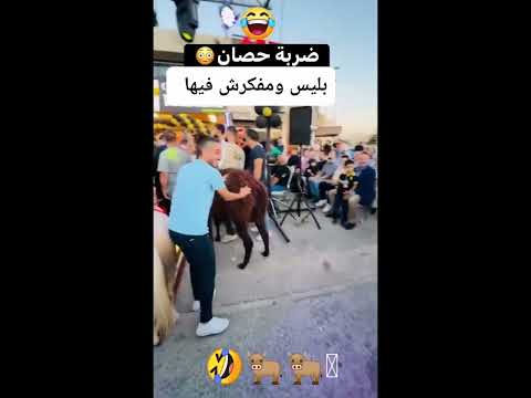 🤣🤣 أصعب موقف يقدر يوقعلك 😂😂