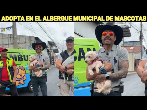 NETO BRAN MOTIVA PARA QUE ADOPTES EN EL ALBERGUE MUNICIPAL DE MASCOTAS, GUATEMALA...