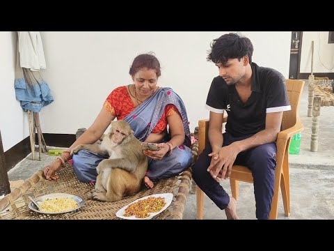 Monkey rani honey didi ko dekh ke khus hote hai ।। Akash rani honey didi breakfast vidio 😂