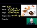 Cell Biology and Ecosystems Concepts