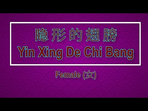 隱形的翅膀 (Yin Xing De Chi Bang) Female – Karaoke Mandarin