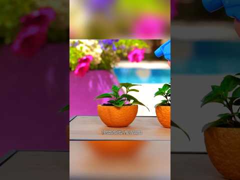 these gardening Lifehacks will blow your mind #facts #lifehacks