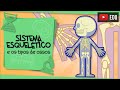 Anatomia e Funções dos Ossos