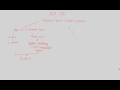 Circulatory System Concepts in Mammals